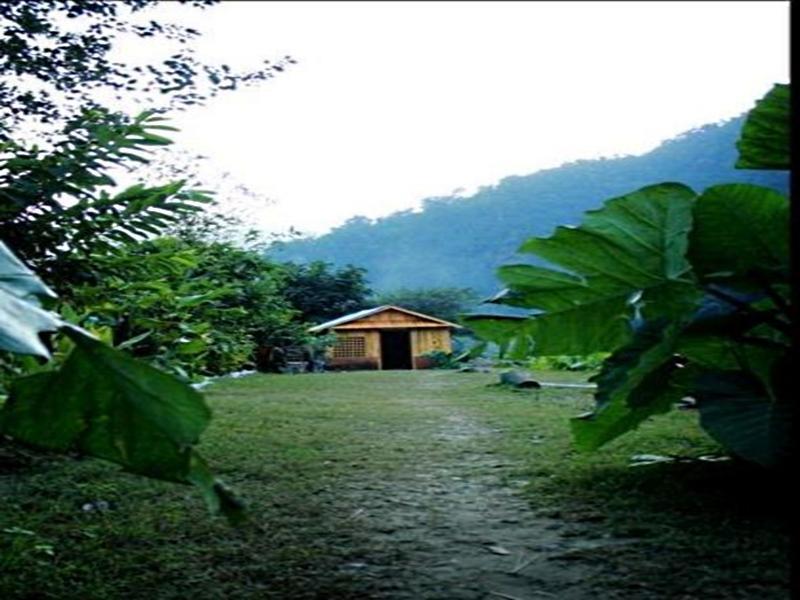 Elephant Brook Resort Rishīkesh 外观 照片